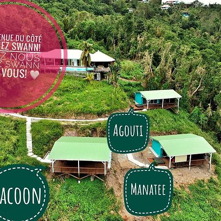 Du Cote De Chez Swann Villa Deshaies Luaran gambar