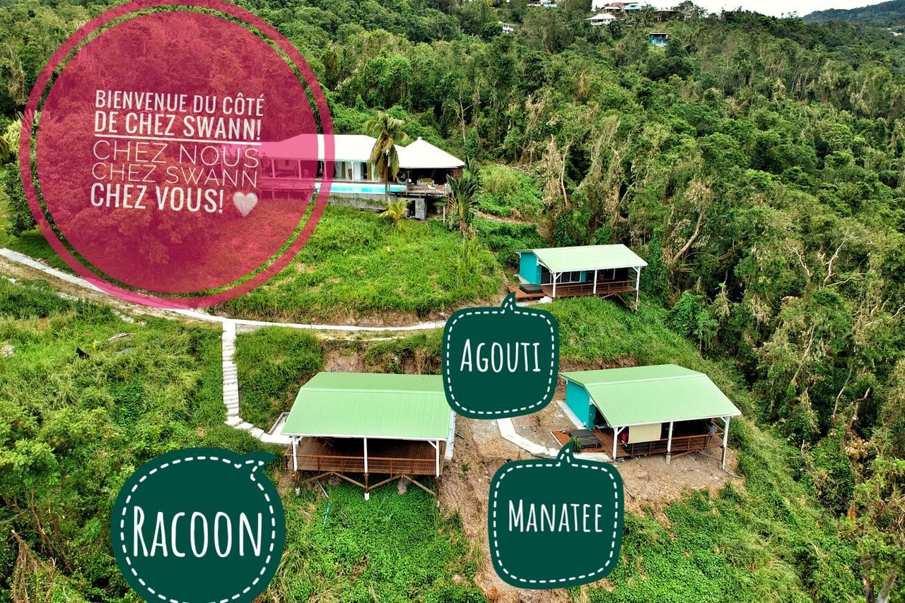 Du Cote De Chez Swann Villa Deshaies Luaran gambar